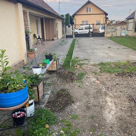 克卢日-纳波卡Casa Ionela别墅 外观 照片